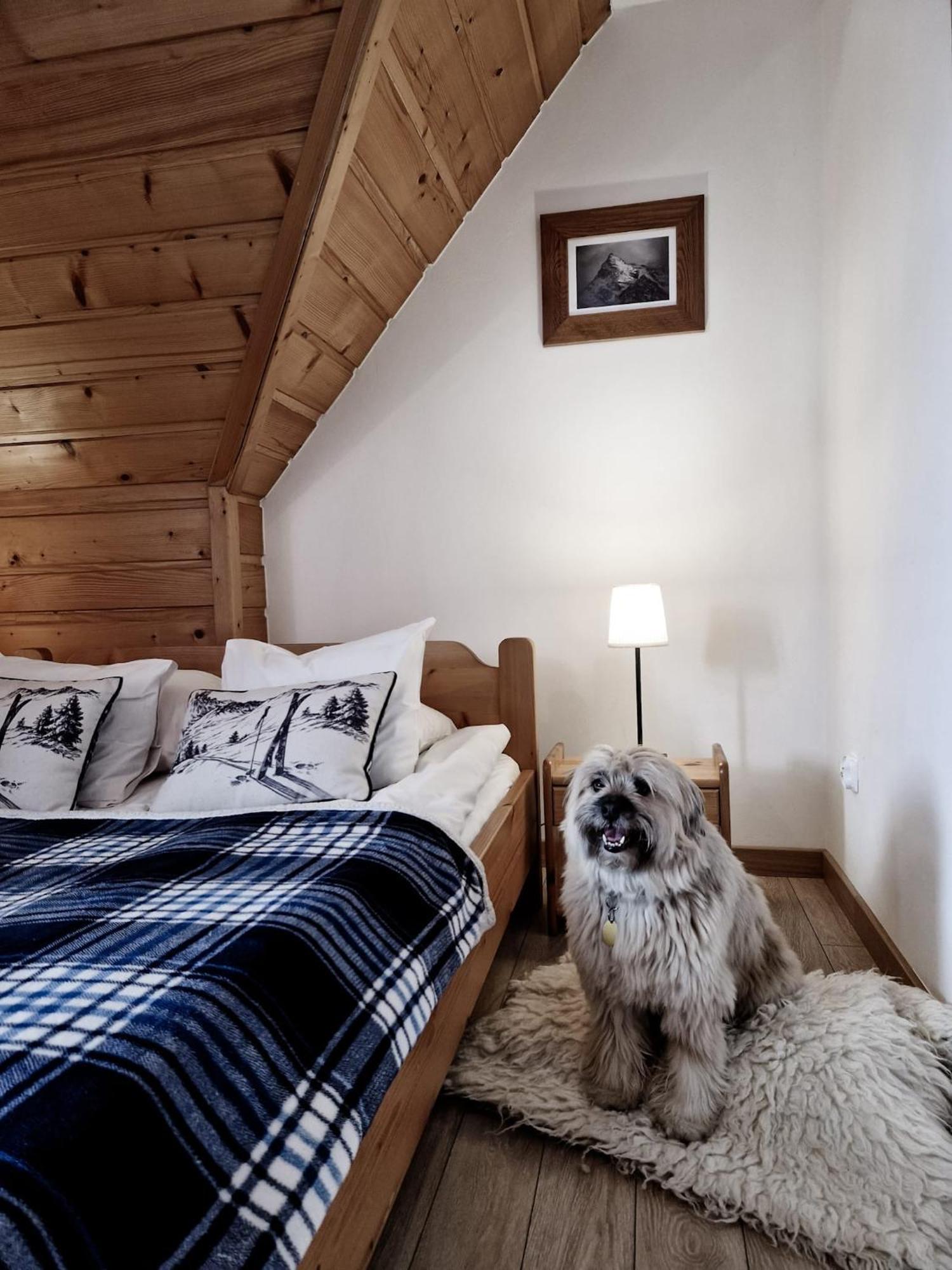 Zakopane Stop Bed & Breakfast Ngoại thất bức ảnh