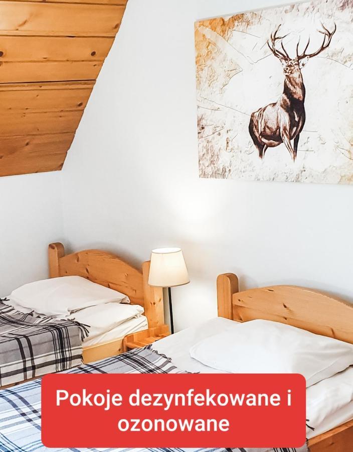 Zakopane Stop Bed & Breakfast Ngoại thất bức ảnh